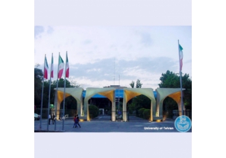 مشاوره تحصیلی و برنامه‌ریزی دقیق درسی اولین نفری که ثبت نام کند سوپرایز