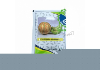 فروش بذر خربزه دلگشا