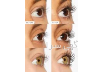 بهترین مژه کار تبریز