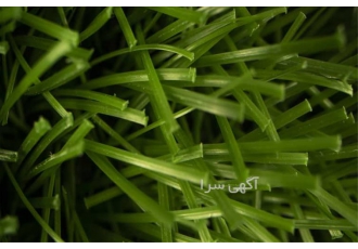 فروش انواع چمن مصنوعی و چمن مصنوعی روف گاردن در تهران فروش انواع چمن