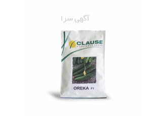 عرضه بذر خیار اورکا با بهترین کیفیت
