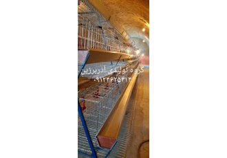 قفس مرغ تخمگذار ساخت قفس مرغ تخمگذار و گوشتی بلدرچین کبک مشاوره و راه