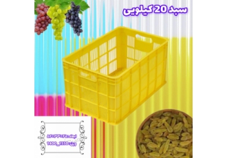 سبد ۲۰ کیلویی انگور شرکت آیسان پلاست مهر ارائه دهنده و تولید کننده