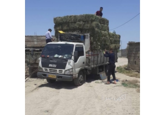 فروش و ارسال یونجه کاه گندم جو سبوس فروش وارسال یونجه دشت مغان به همه