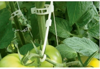بست بوته سایز 27