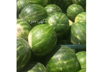 فروش بذر هندوانه با عملکردی بی نظیر در کشور