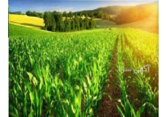 فروش شرکت رتبه ۵ کشاورزی با قیمت مناسب فروش شرکت رتبه 5 کشاورزی شرکت