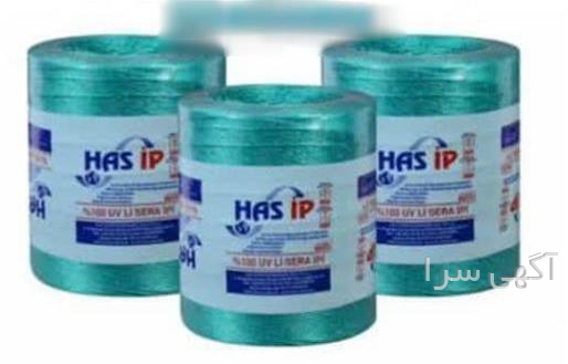 گلخانه گوجه سبز