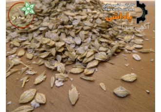خرید جو دوسر پرک عمده تولید کننده جو و گندم پرک در قزوین عمده فروشی