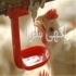 سیستم آبخوری مرغداری در قم فروش و نصب سیستم آبخوری مرغداری Aviculture