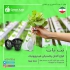 بهترین انواع گلدان هیدروپونیک با کیفیت عالی در تهران گرین آذین تولید