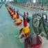 فروش تجهیزات مخصوص مرغداری طیور در تهران ارائه ی مشاوره هایی در خصوص