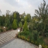 فروش ویلا باغ بزرگ و دلباز در سرخرود کد 793 این ویلا باغ بسیار بزرگ