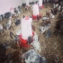 سینی دانخوری جوجه یک روزه طیور در تهران این دانخوری دستی برای دان دهی