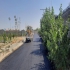 اجاره کاتر قیمت اجاره غلطک اجاره کاتر آسفالت در اندیشه اجاره کار