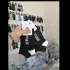 فروش عمده و تکی جوراب مچی فانتزی دخترانه و زنانه پانیک با کیفیت بالا در مشهد