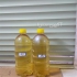 فروش کنجد و انواع روغن های گیاهی و دانه های روغنی در اهواز فروش ویژه