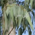 فروش زمین ۸۰۰هکتاری دراستان گلستان در بهشهر فروش زمین 800هکتاری دراستان
