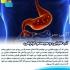 فیلتر تصفیه آب در اصفهان انواع فیلترهای دستگاه تصفیه اب یخچال ها