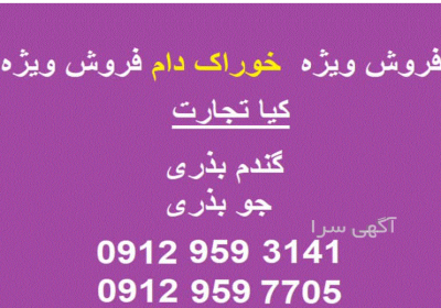 فروش گندم بذری