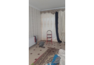نصاب پرده