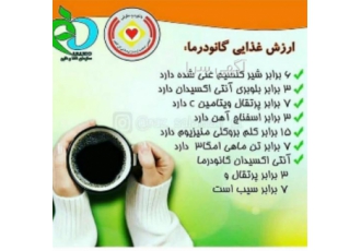 فروش قهوه گانودرما دکتر بیز با خواص درمانی بالا