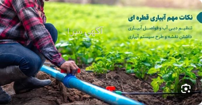 آگهی های کشاورزی و دامداری - نمک آبرود