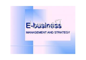 مدیر کسب و کار اینترنتی