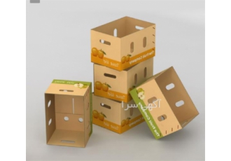 طراحی کارتن میوه جات با قیمت مناسب