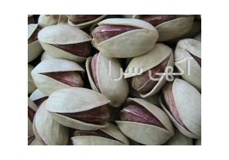 فروش پسته آجیلی از شهر طلای سبز رفسنجان پسته درجه یک آجیلی خود