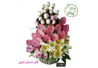 فروشگاه اینترنتی روبینیا گاردن گروه مهندسی طراحان طبیعت گستر روبینیا