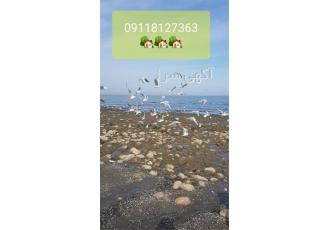 فروش آپارتمان ساحلی - زیر قیمت