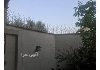 قیمت حفاظ شاخ گوزنی ، قیمت استثنایی