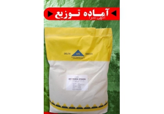 قیمت و خرید بذر چمن برموداگراس (چمن آفریقایی) بذر چمن برموداگراس یکی
