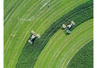 فروش شرکت رتبه دار کشاورزی گرید ۵ ظرفیت جدید در تهران فروش شرکت رتبه