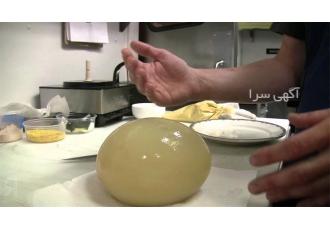 فروش تخم خوراکی طیور در اصفهان با فروش تخم خوراکی طیور از جمله شترمرغ