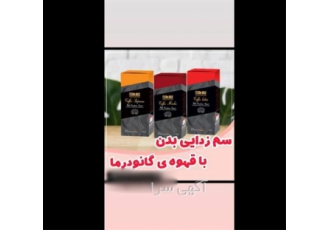 نمایندگی فروش قهوه گانودرما، هات چاکلت گانودرما