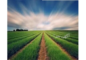 فروش و انتقال شرکت پیمانکاری گرید ۵ در حوزه کشاورزی و آب در تهران فروش