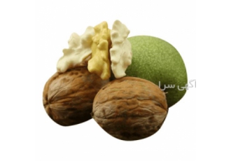 فروش نهال گردو با بهترین کیفیت و قیمت در سراسر کشور در شیراز مجموعه
