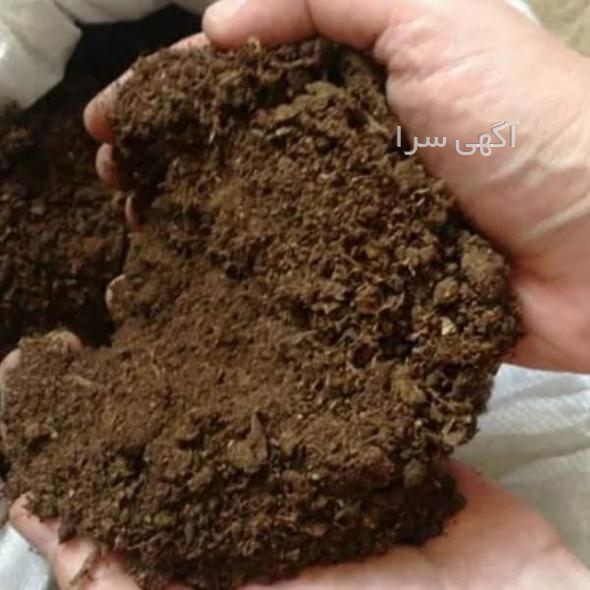 آگهی های خودرو - مشهد