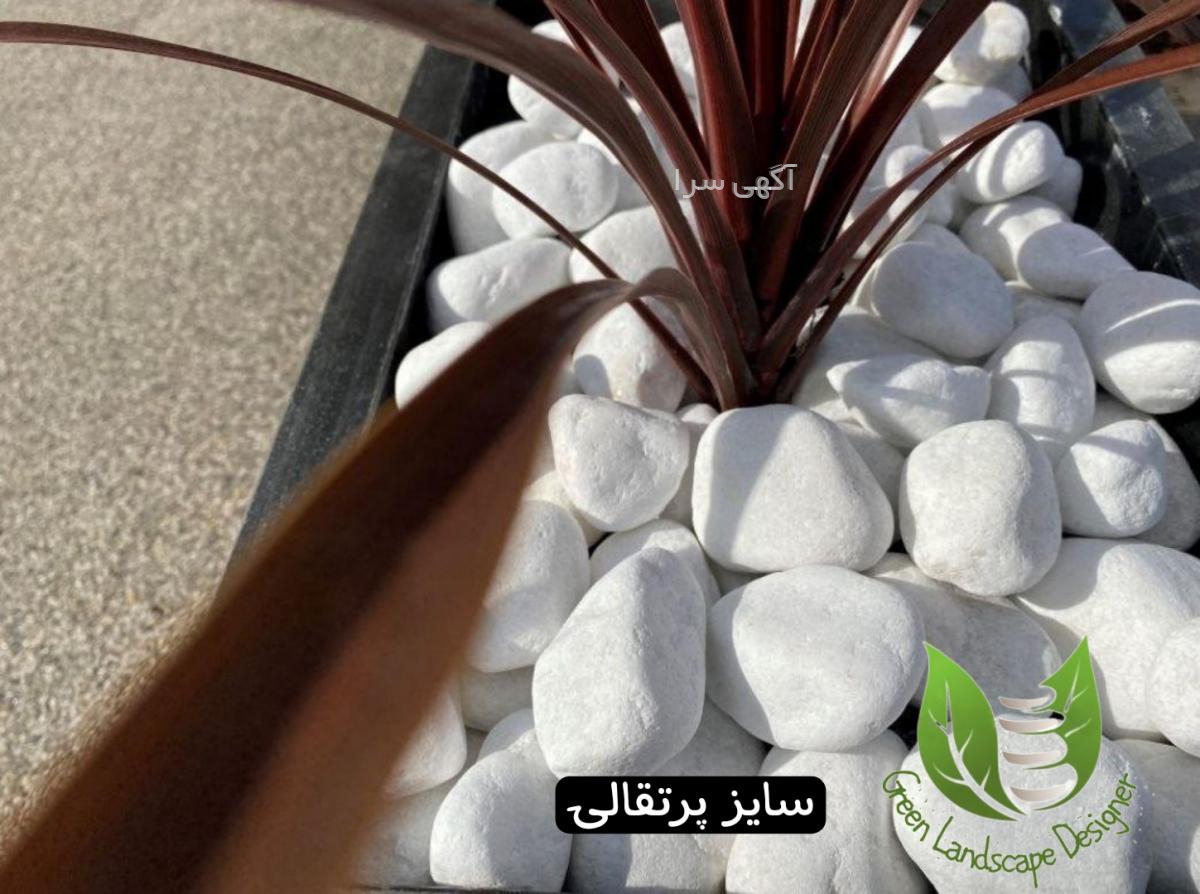 آگهی های گلدان