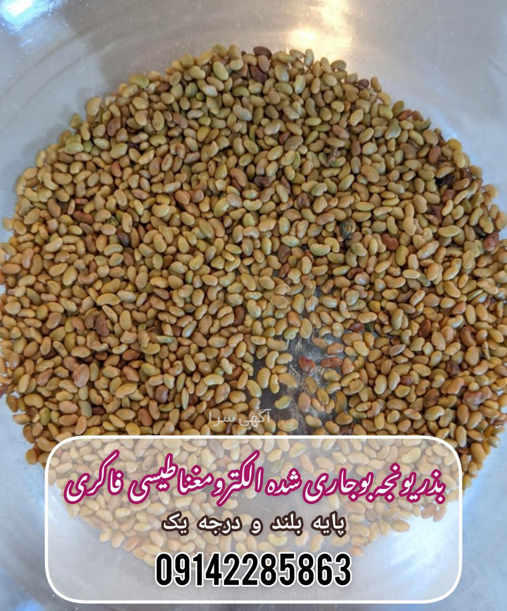 آگهی های بذر - خراسان رضوی