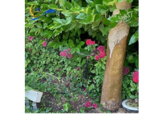 اجرای سیستم های آبیاری نوین با برترین کیفیت اجرای سیستم های آبیاری نوین با برترین کیفیت