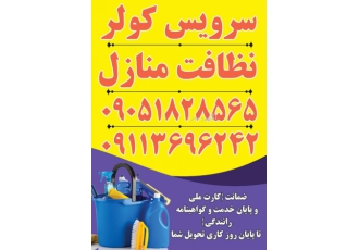 خدمات نظافت