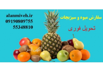 خرید میوه و سبزیجات تازه با ارسال رایگان و تحویل فوری فروشگاه الان میوه