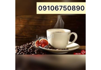 فروش قهوه گانودرما فروش سوپریم گانودرما فروش قارچ در بندرعباس فروش ویژه