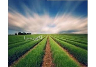 فروش شرکت ۴ کشاورزی ( فضای سبز ) در تهران فروش شرکت 4 کشاورزی فضای سبز