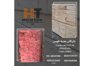 واردات و فروش عمده چوب یولکا روسی،چوب راش گرجستان