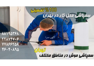 سمپاشی موش در تهران | شرکت ماداکتو سمپاشی موش در تهران با ضمانت %100
