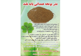 بذر یونجه همدانی پایه بلند کیسه ۱۰ کیلویی ✅ بوجاری شده عاری از بذر سس